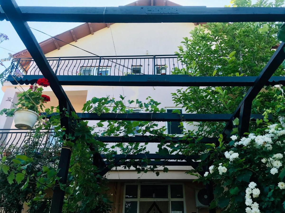 Vila A&S Hotel Costineşti Exterior foto